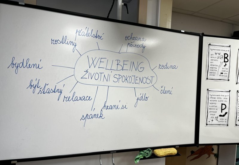 3.C poznává WELLBEING