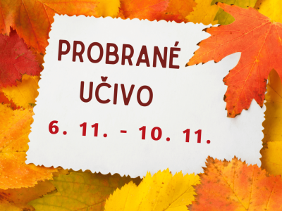 Přehled učiva z týdne 6. 11. - 10. 11. 2023